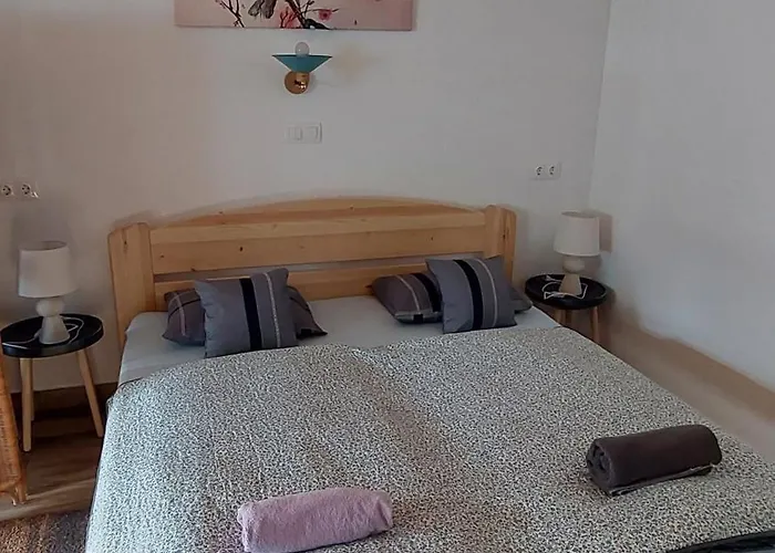 Odu Vendeghaz Apartament *